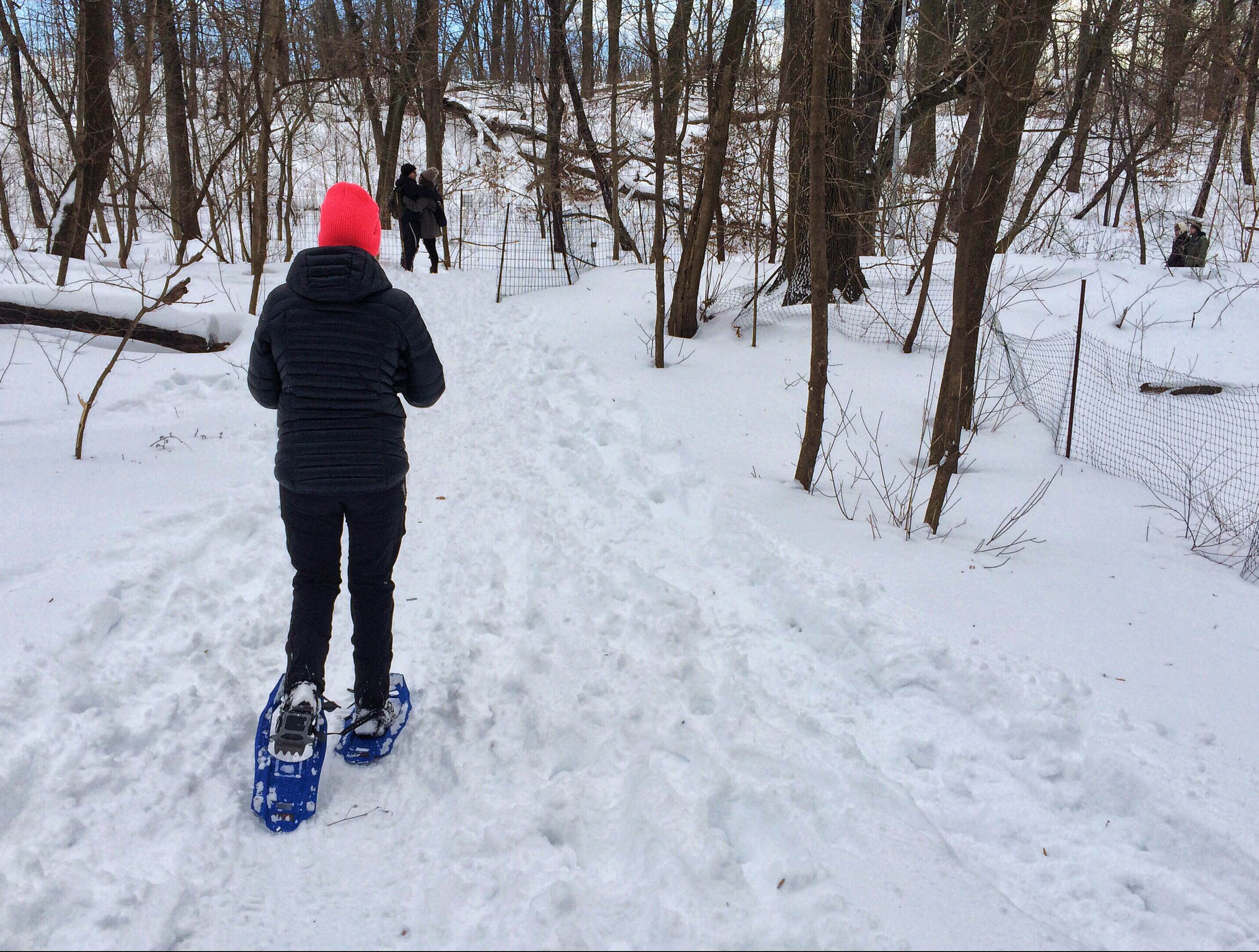 Snow day: Another chance to enjoy the best winter activities in the city
