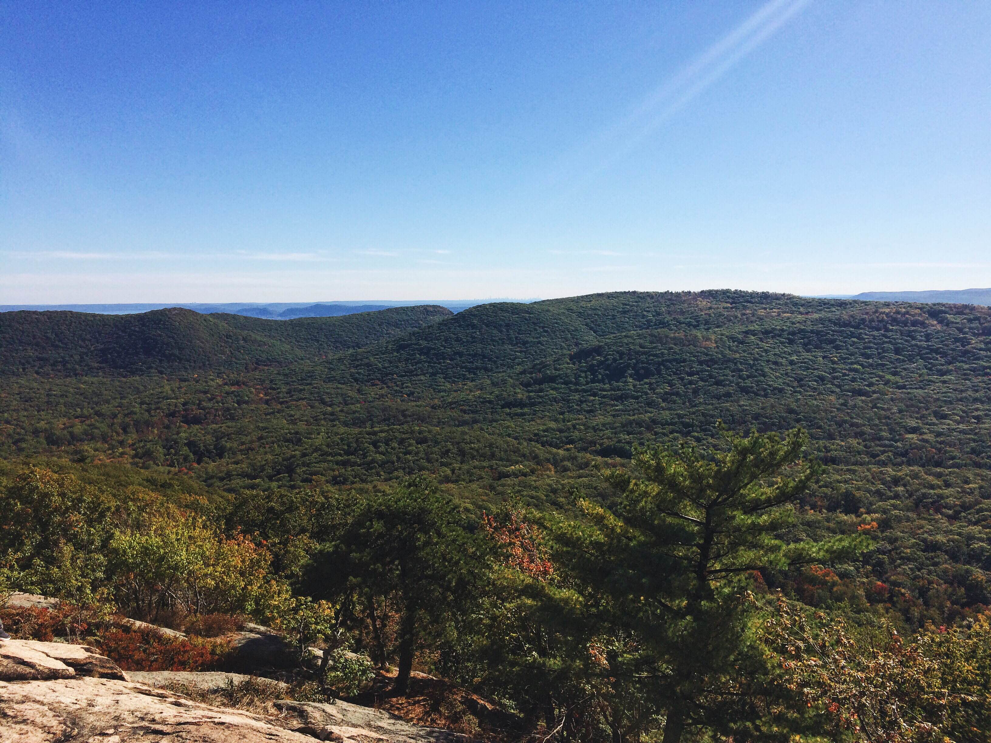 We’re bullish on Bear Mountain